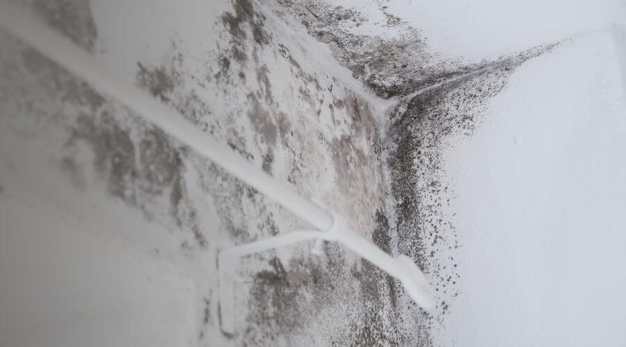 Why choose Frostvex Link for water damage restoration in Covina